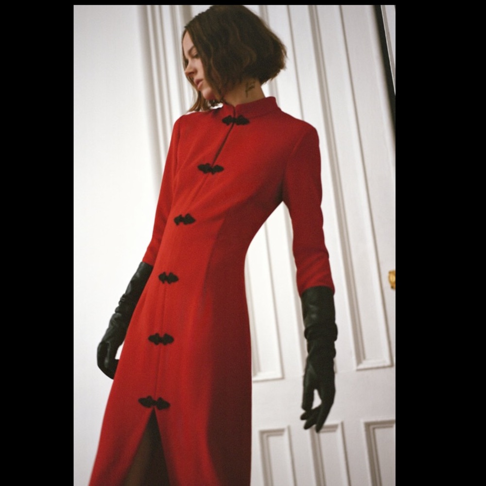 ZARA Toggle Dress